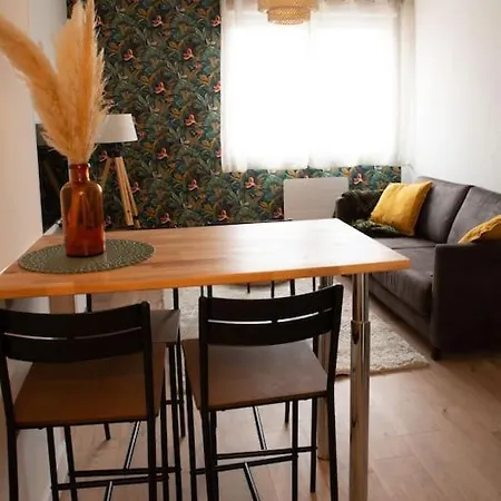 T2 Renove+parking Prive Apartment